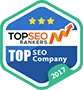 Named #1 Digital Agency in Many Countries! - 米兰体育APP